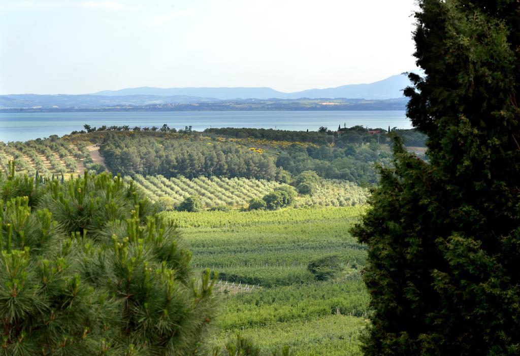 Agriturismo San Severo Passignano sul Trasimeno Exterior photo